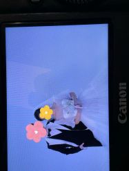 -青禾蒙娜丽莎婚纱摄影(武汉总店)