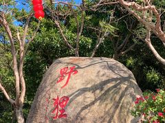 -野狸岛