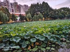 -堤角公园