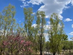 -承德避暑山庄景区