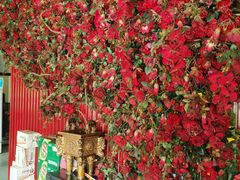 -海陆红火锅(汉兴路店)