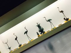 -盐城丹顶鹤湿地生态旅游区