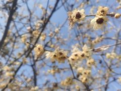 -梁鸿国家湿地公园