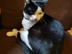 -猫的天空之城概念书店(杭州南宋御街店)