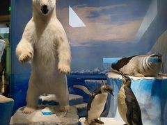 -国家自然博物馆