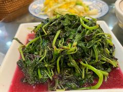 龙虎斗-广迎居老正兴菜馆