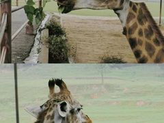 -乐和乐都主题乐园