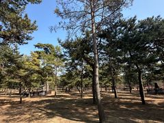 -沈阳市东陵公园