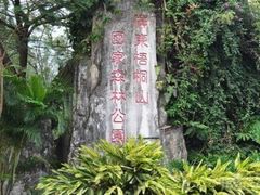 -梧桐山风景名胜区