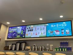-雾与山茶(大禹城店)