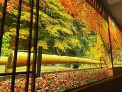 -九田家黑牛烤肉料理(太阳宫广场店)