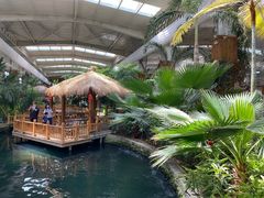 -南宫五洲植物乐园