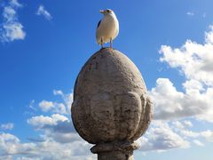 -商业广场(Praça do Comércio)