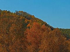 -塞罕坝国家级自然保护区