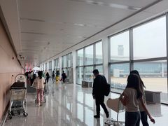 -青岛胶东国际机场