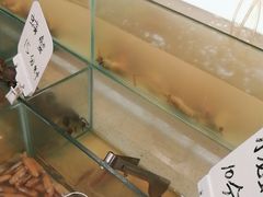 -元一希尔顿酒店·禅自助餐厅·啤酒花园