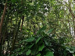 -碧水湾温泉