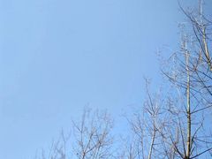 -府河摄影公园