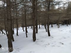 -红崖峡谷景区