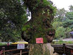 -桂林灵渠景区