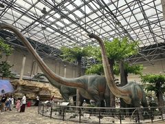 -国家自然博物馆