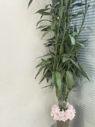 -菁华上德生殖妇产医院