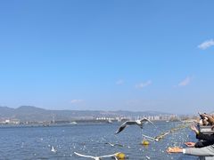 -海埂大坝