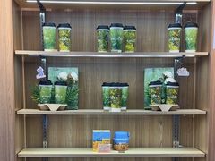 -石狮世茂摩天城摩天轮