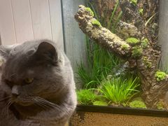 -Rabbit Cafe私房西餐甜点咖啡(栖霞路店)