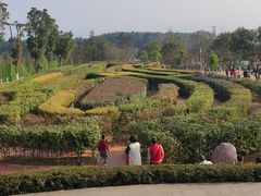 -铁山坪森林公园