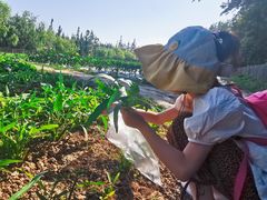 -前小桔亲子创意农场·草莓采摘·露营烧烤