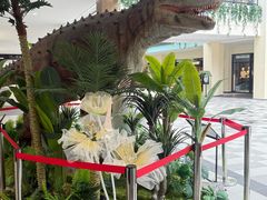 -宁波杉井奥特莱斯广场