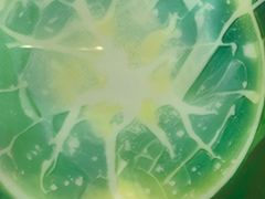 -Xcape异时刻密室逃脱魔法互动(瑞虹天地太阳宫店)