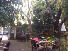 -Fern Forest Cafe