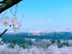 -樱桃山旅游景区
