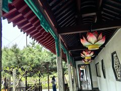-鸢飞潍坊菜馆(鸢飞大酒店)