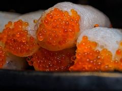 -凤园椰珍·臻品椰子鸡(保利时光里店)
