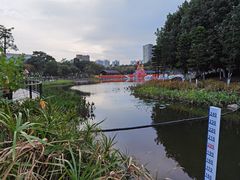 -映月湖公园