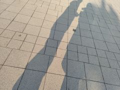 -海河外滩公园