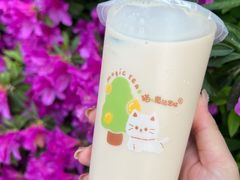 -猫的魔法密林(衣裳街店)