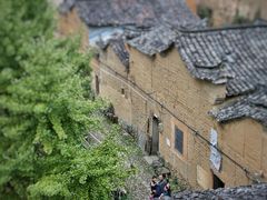 -杨家堂村