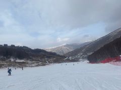 -多乐美地滑雪场