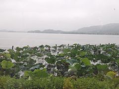 -湖畔居茶楼(湖滨店)