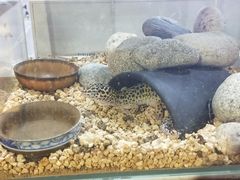 -弓舍射箭俱乐部(高新总店)