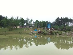 -铁山坪森林公园