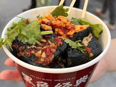 -黑色经典臭豆腐·湖南特产(坡子街店)