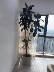 -HEYAN荷妍专业脱毛连锁机构
