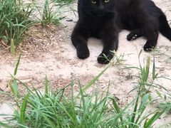 -北京外交人员免税商店(分店)