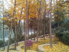 -西安汉城湖景区