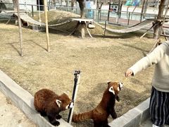 -水上乐园·欢乐世界